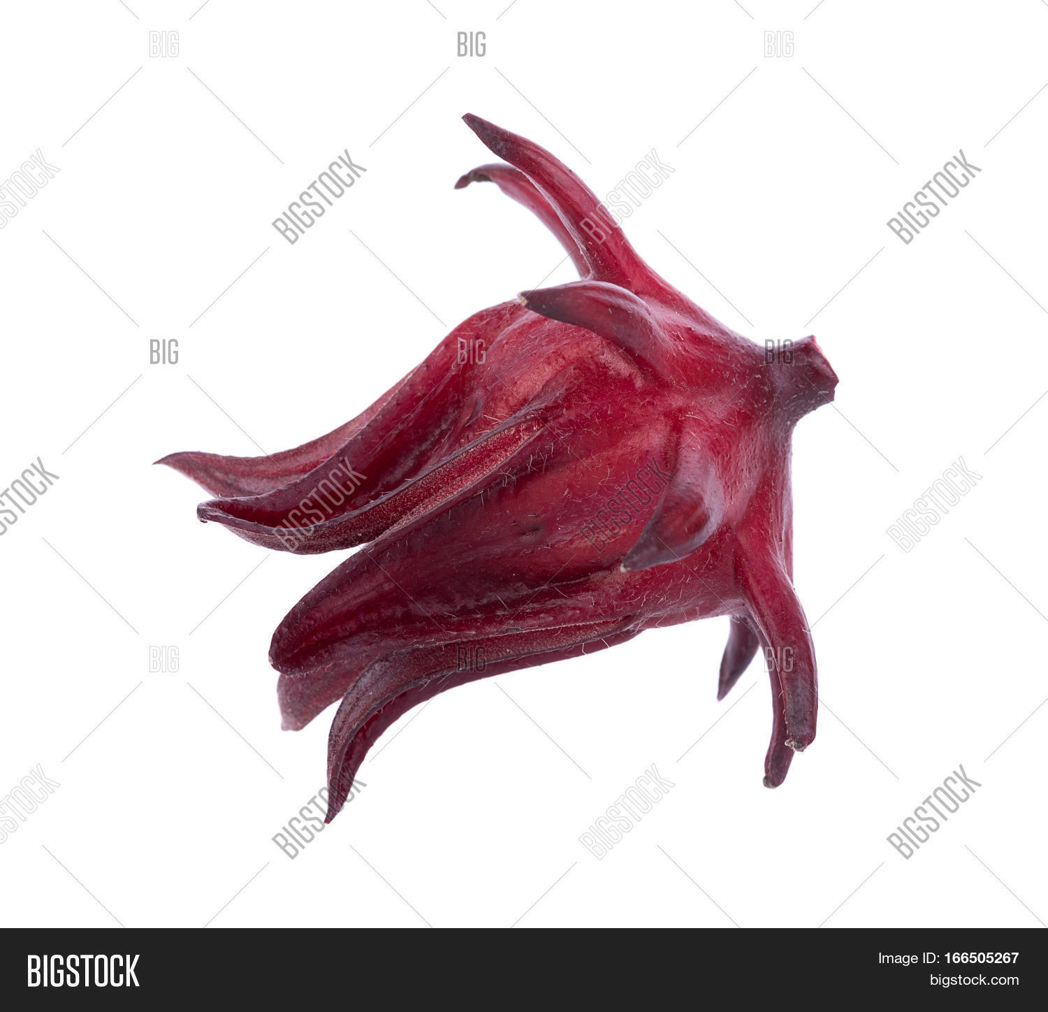 Image Preview