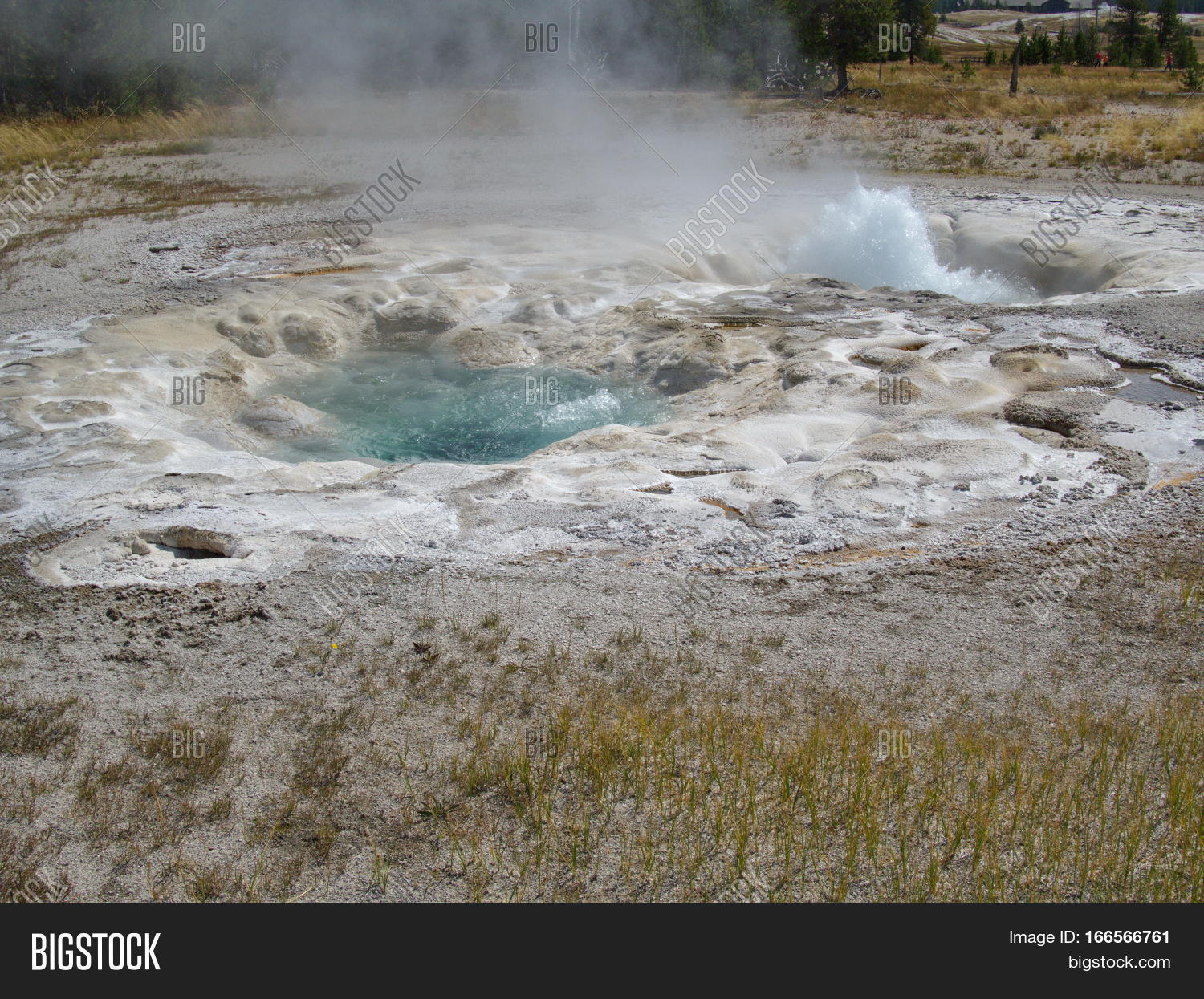 Two Geysers Erupt Image & Photo (Free Trial) Bigstock