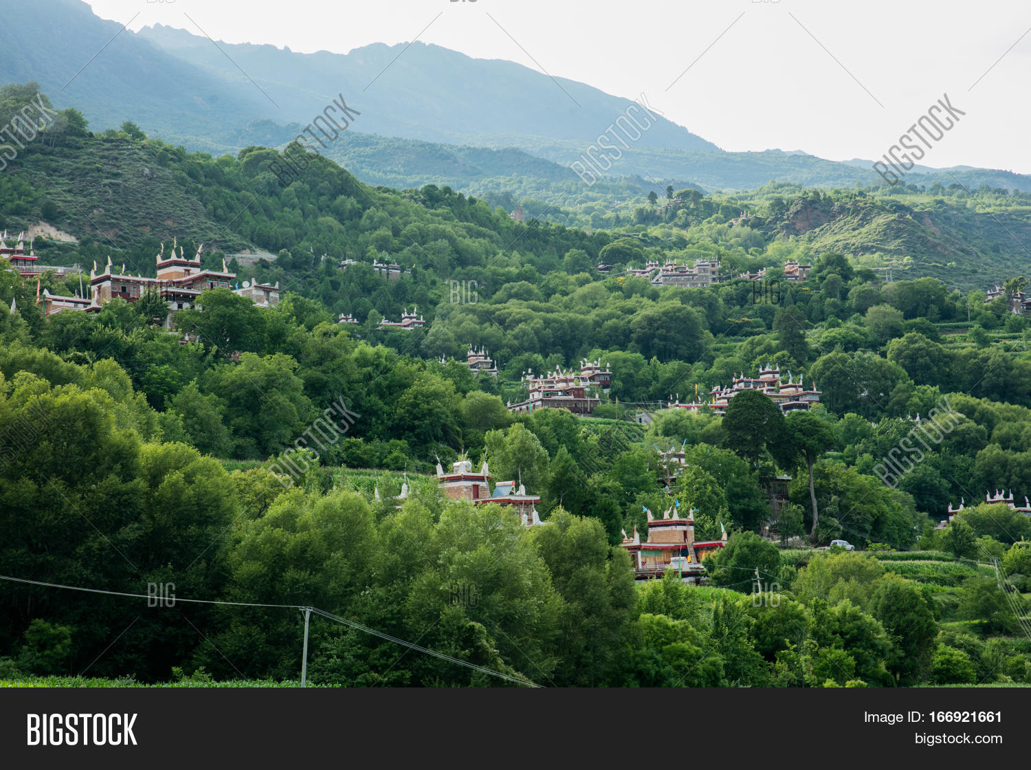 Image Preview
