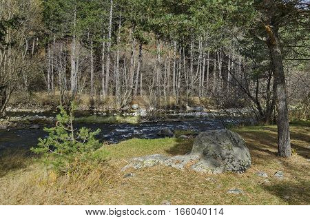 Beautiful view of the  Rila mountain with forest and river Iskar, Bulgaria