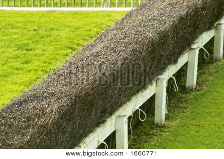 Národní Hunt plot