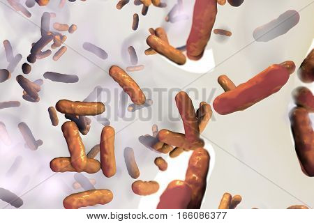 Biofilm of antibiotic resistant bacteria Pseudomonas aeruginosa. 3D illustration