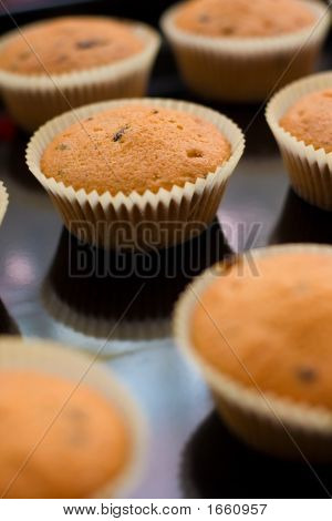 Muffins