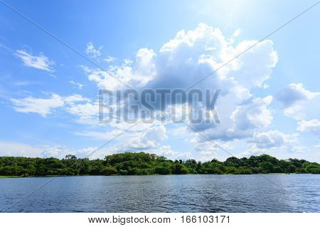 Panorama From Amazon Rainforest, Brazilian Wetland Region.
