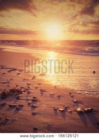 Beach Sand With Stones And Water Trails. Traces On Beach At Smooth Sea,