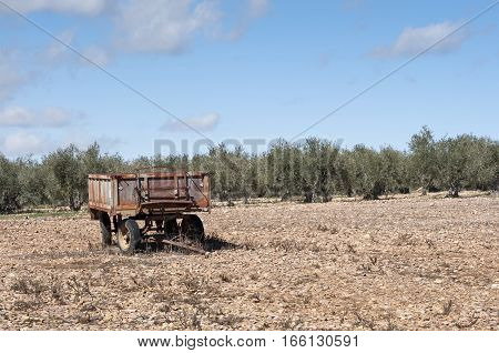 Old farm trailer on a fallow field. At the background an olive grove. Photo taken in La Fuencaliente, Ciudad Real, Spain