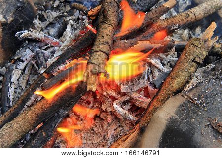 Bonfire in the forest ready for barbeque