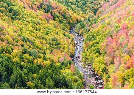 Blackwater river with Allegheny mountains in autumn