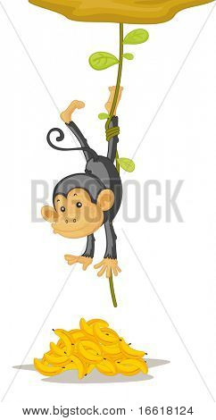 une illustration d'un singe piégés