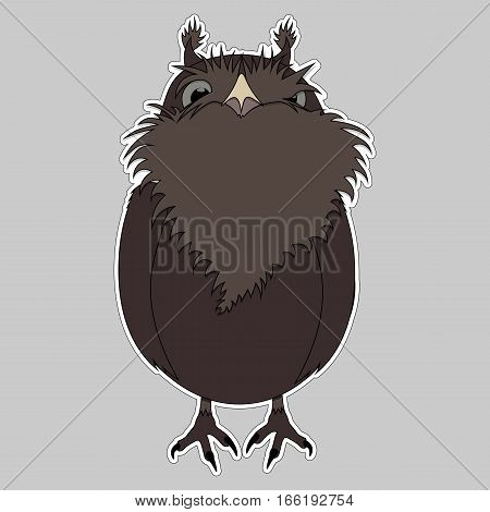 Vector Illustration cartoon bird Owl for your design