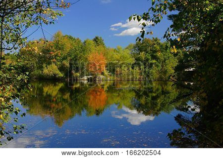 Autumn Glory in New England on a clear day