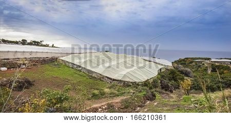 Plastic greenhouses on the coast of Maro Malaga Spain. Panoramic shot