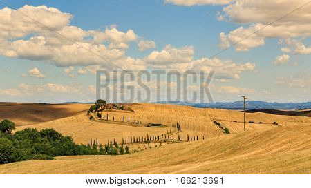 View Of House With Cypress Trees In A Field In The Tuscan Region Siena, Italy