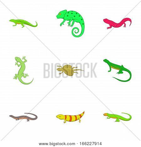 Amphibian icons set. Cartoon illustration of 9 amphibian vector icons for web