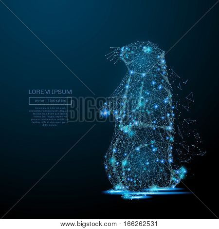 Abstract image of a groundhog in the form of a starry sky or space, consisting of points, lines, and shapes in the form of planets, stars and the universe. Marmot vector wireframe concept. Woodchuck