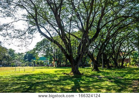 Public Playing Area