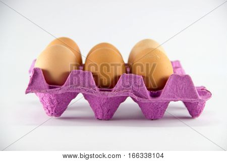 egg eggs food chicken healt protein organic