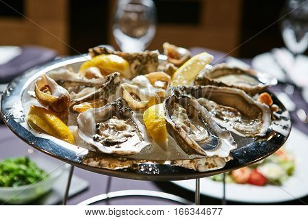 A platter of fresh organic raw oysters on ice at restaurant