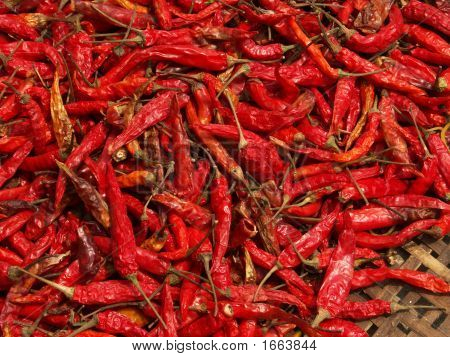 Chilis czerwony