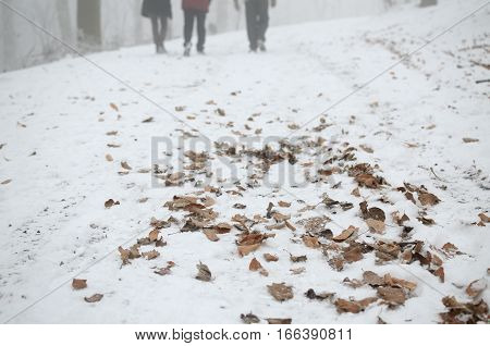 Dry yellow leaves covered with snow on a road with passers-by in distance