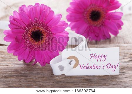 Label With English Text Happy Valentines Day. Pink Spring Gerbera Blossom. Vintage, Rutic Or Aged Wooden Background. Card For Spring Greetings.