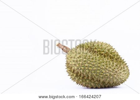 durian  mon thong is king of fruits durian on white background fresh healthy durian fruit food isolated