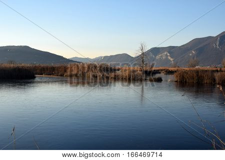 The rare phenomenon of the frozen bogs of Lake Iseo - Brescia - Lombardy - Italy