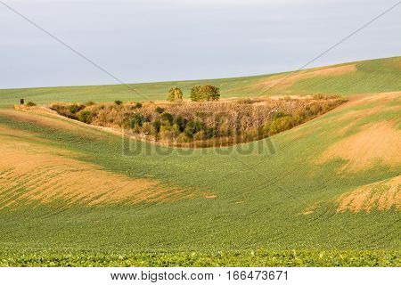Moravian Fields. The landscape around Kyjov called the Moravian Tuscany Czechia Europe.