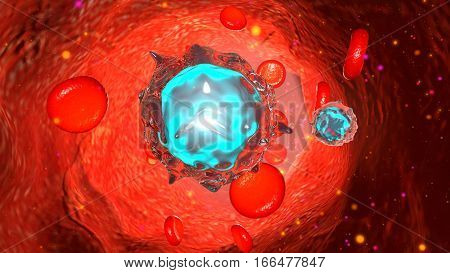 Blood enters the heart through two large veins, the inferior and superior vena cava, emptying oxygen-poor blood from the body into the right atrium of the heart.