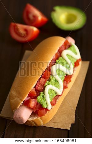 Chilean Completo Italiano (Italian) traditional hot dog sandwich made of bread sausage tomato avocado and mayonnaise photographed on dark wood with natural light (Selective Focus Focus one third into the hot dog)