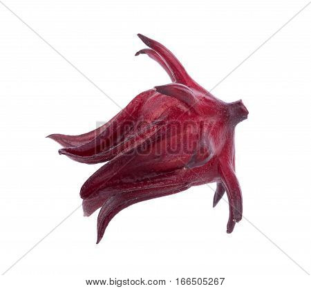 Hibiscus sabdariffa or roselle fruits on white background