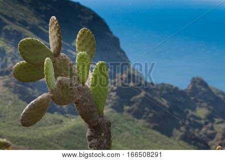 Punta De Teno, Tenerife, Canary, Espana