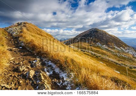 Walking Trail In Bieszczady Mountain In Poland