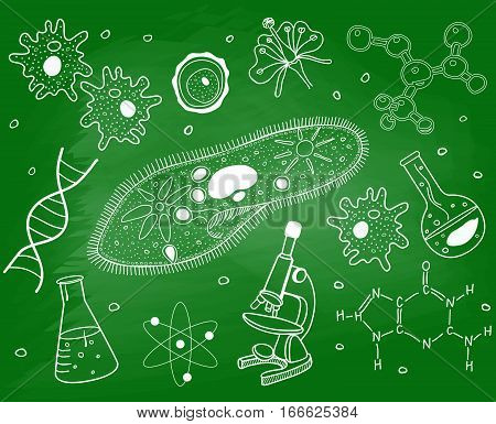 Biology sketches on school board on green background