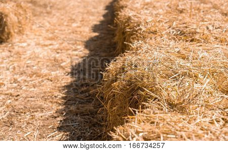 Farm and haystack background concept - Close up haystack for sit and copyspace