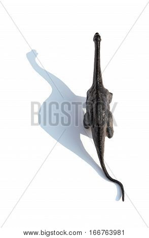 top ivew Diplodocus toy with shadow on a white background