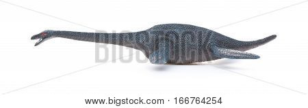 side view plesiosaurus on a white background