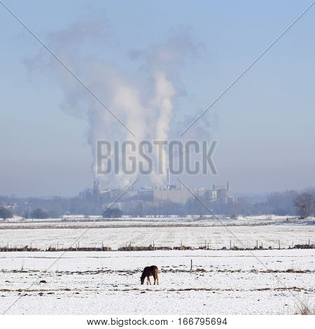 paper mill factory parenco at Doorwerth near Arnhem in the netherlands on winter day with snow and blue sky and horse in floodplanes of river rhine