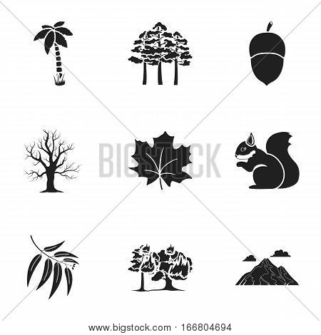 Forest set icons in black style. Big collection of forest vector symbol stock