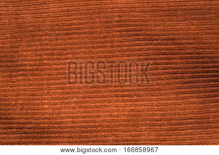 Corduroy Background In Close Up