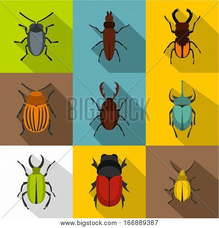 Crawling beetles icons set. Flat illustration of 9 crawling beetles vector icons for web