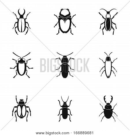 Crawling beetles icons set. Simple illustration of 9 crawling beetles vector icons for web