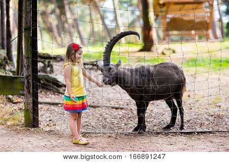 Cute little girl in colorful dress watching and feeding wild alpine goat with large horns at the zoo on sunny summer day. Wildlife and Alps mountains nature experience for kids at animal safari park.