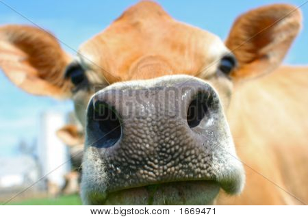 태양에는 카메라에서 스니핑 저지 소