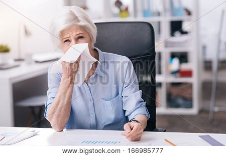Suffering from a cold. Upset exhausted eldered businesswoman sitting at the table in the office and touching her nose while suffering from the cold