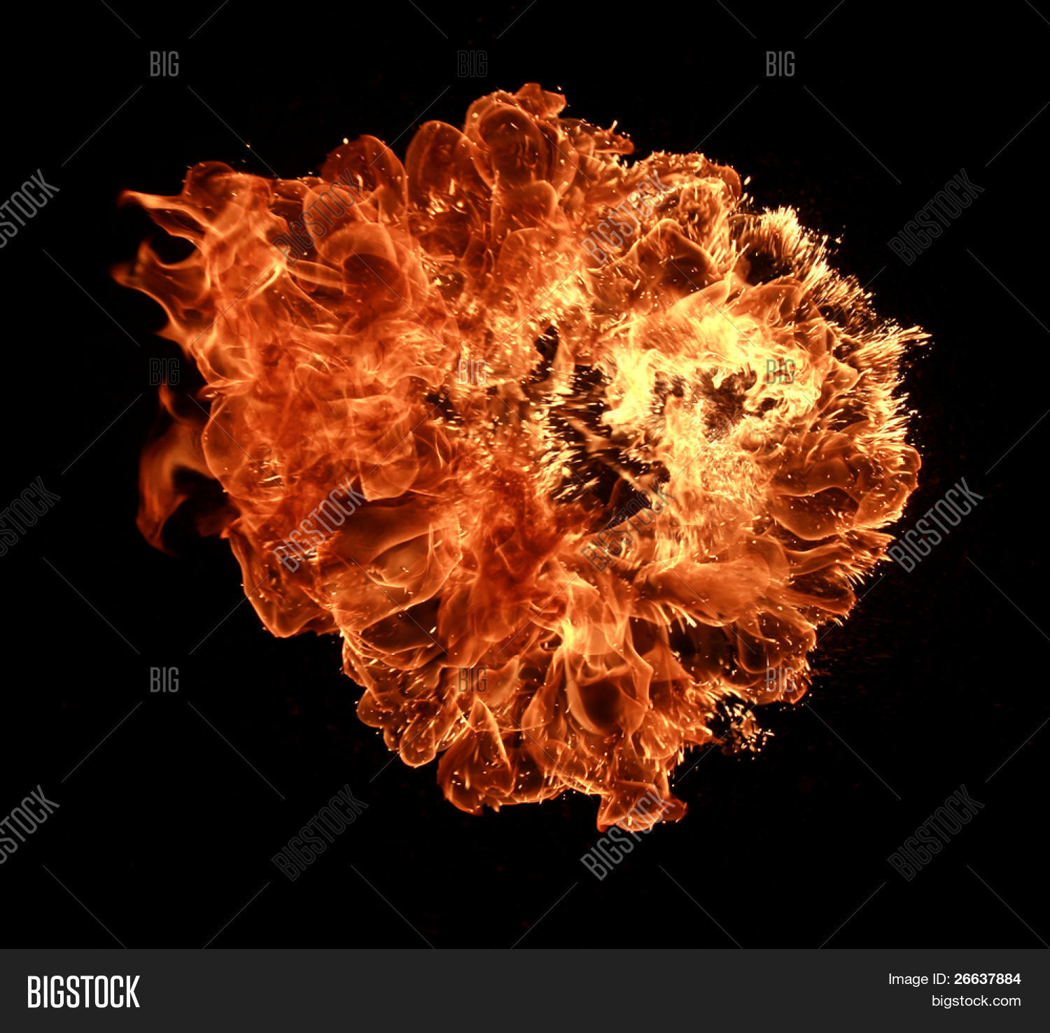 Image Preview
