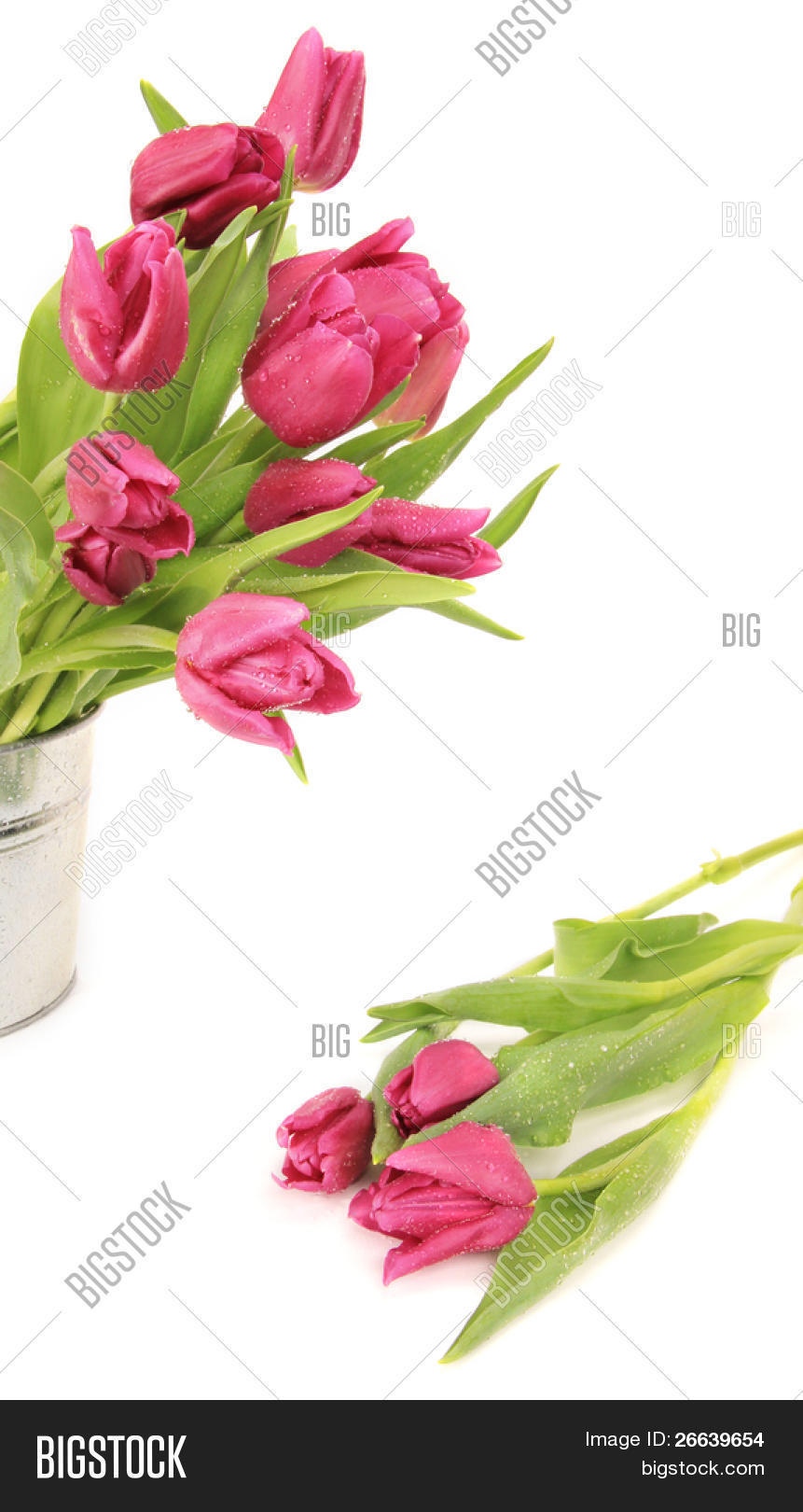 Image Preview