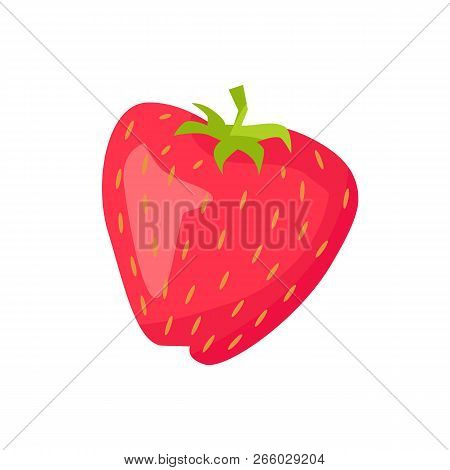 Strawberry As Garden Or Wild Forest Berry Applique Isolated. Vector Small-fruit Natural Raw Sweetnes