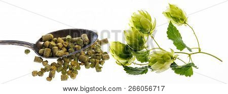 Hop Plant And Hop Pellets For Preparing Beer - Isolated On A White Background