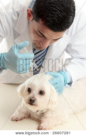 Veterinario insertando una aguja de la jeringa de Pet